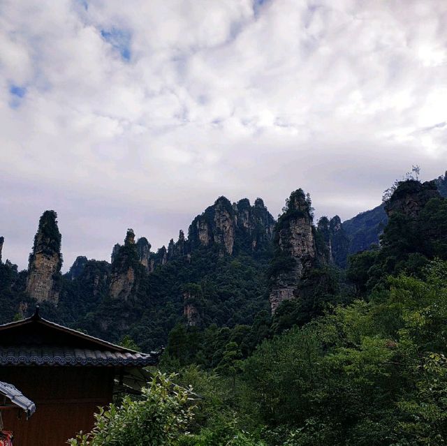 a lifetime trip to the land of "Avatar"! 