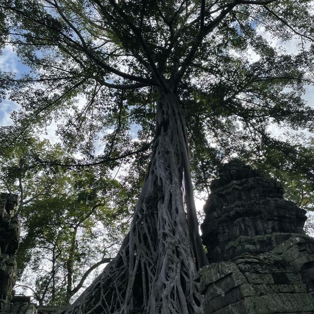 Siem Reap - Angkor Wat