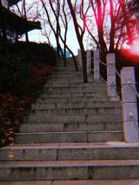 Lantau Peak Yantai 