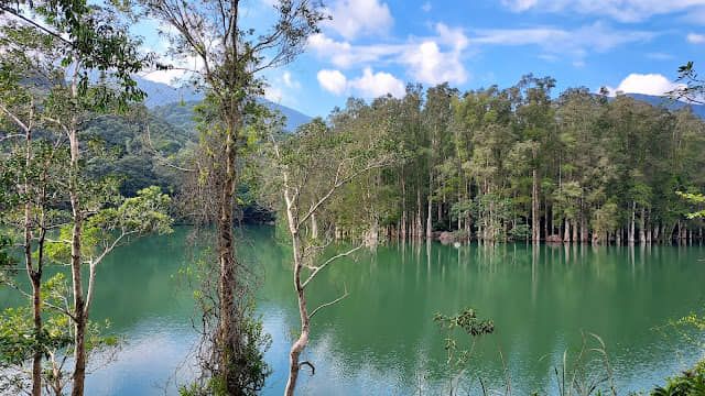 城門水塘輕鬆行山