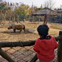 Shanghai wild animal park