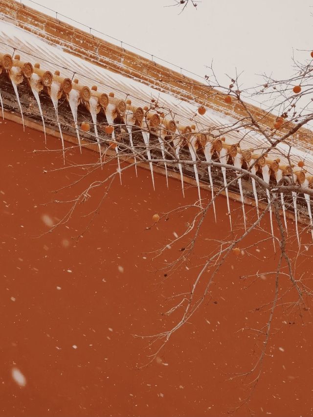 The first snow of 2021 has arrived in Beijing