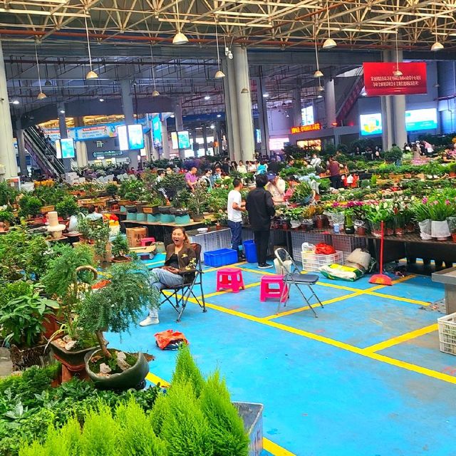 The wonders of Yunnan- Flower Market, Kunming