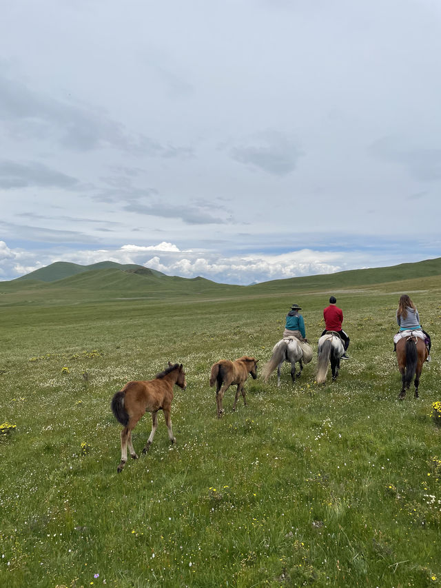 Horse Trek- Langmusi, China