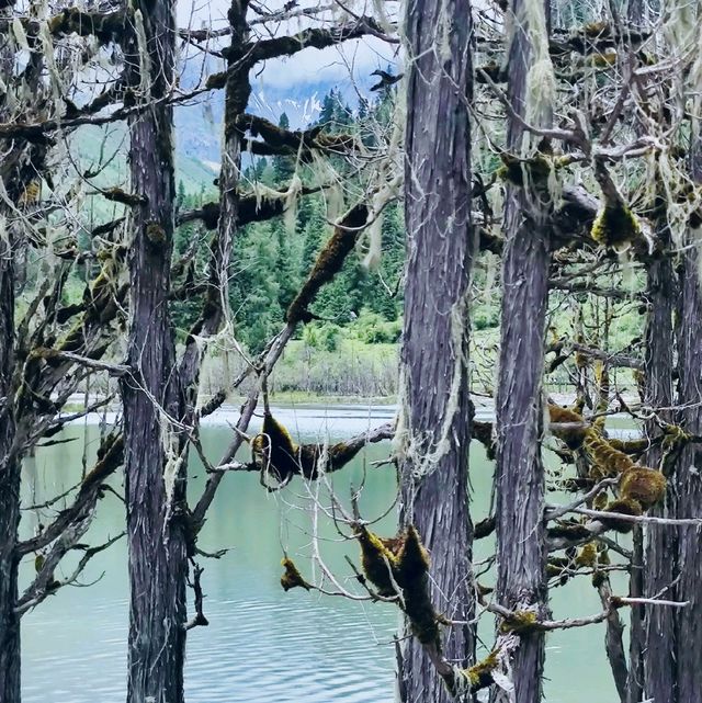 Beautiful Mountain Lake in West-Sichuan