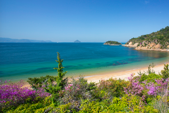 日本 ｜跳島藝術遊の直島