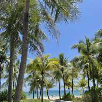 Lovely quiet beach ~Coconut Dream Corridor 