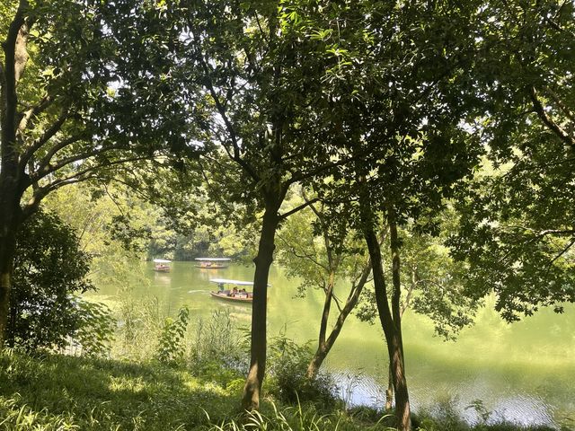 Into the Woods, Hangzhou west lake scenery 