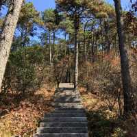 Five Old Man Peaks, Lushan Mountain 