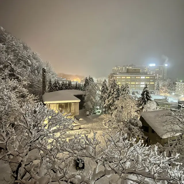 定山溪翠山亭第一宝亭温泉酒店