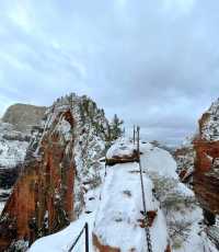 Go to Zion National Park for hiking and exploration.