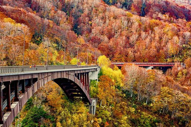 【2023日本紅葉】東北人氣賞楓景點推介：山形、青森 | 山形