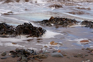 Life on the Edge: 'Found Art' at Mawbray | Culterham hall