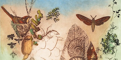 ARTISTS IN CONVERSATION - Origin: The Place Where Something Begins | Hawkesbury Regional Gallery