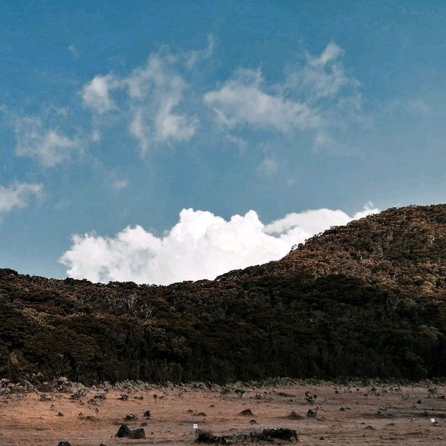 Hiking Mount Gede Pangrango