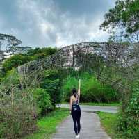 Simple hike, extraordinary sights 