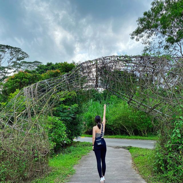 Simple hike, extraordinary sights 