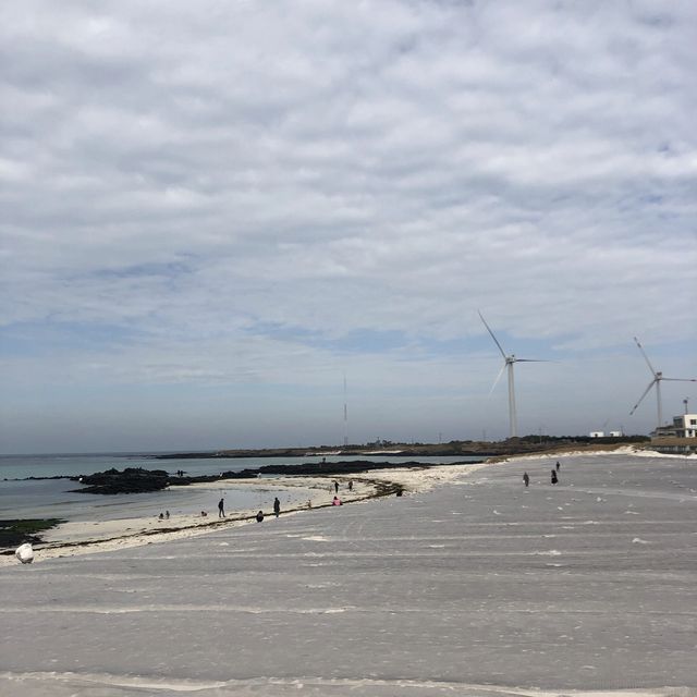 [제주도 맛집] 모모언니바다간식🦑