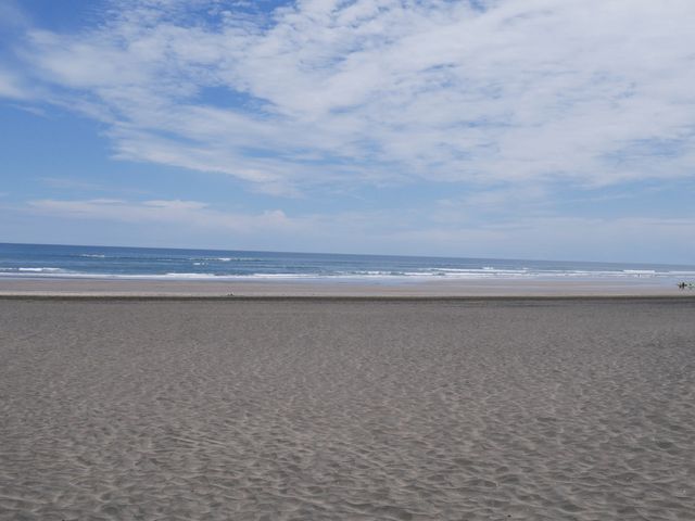 Famous surf beach in Auckland! 