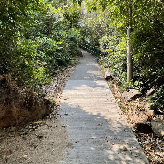 長洲著名張保仔洞