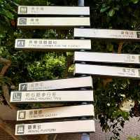 ［鴨脷洲風之塔公園］- 老少咸宜的一天 👏