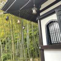 この世の極楽に鎌倉観光なら長谷寺