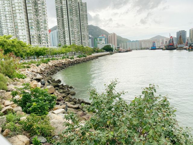 幻愛橋