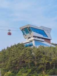 한국의 나폴리 스노쿨링 성지 장호항