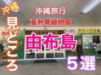 沖縄　沖縄旅行　由布島観光外せないスポット５選❗️