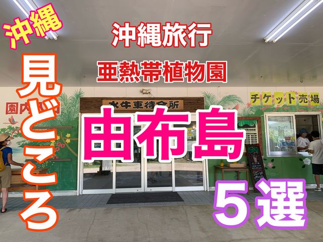 沖縄　沖縄旅行　由布島観光外せないスポット５選❗️