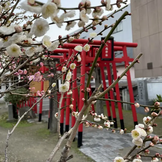 【福岡】地下鉄唐人町駅近くの神社