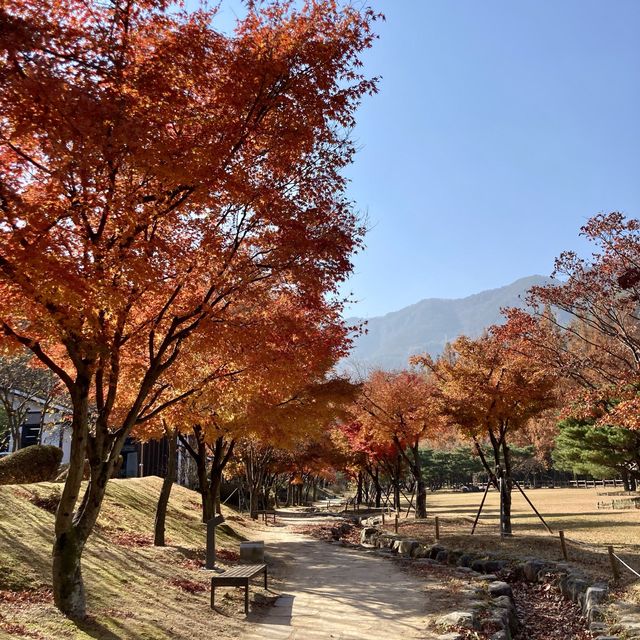 다가오는 가을 단풍구경 하기좋은 구미 금오산도립공원