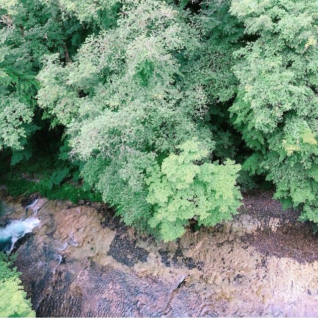 【湯西川温泉 湯西川白雲の宿 山城屋】栃木県/日光市