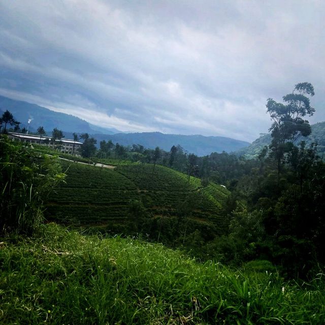 The different Sights Of Beautiful Sri Lanka