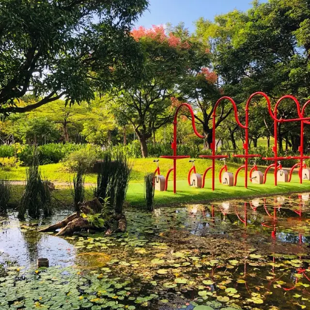 風光明媚🪷🌤Daan Forest Park 大安森林公園