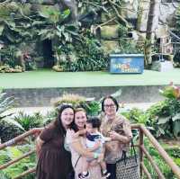 Africa in Cebu Safari and Adventure Park!