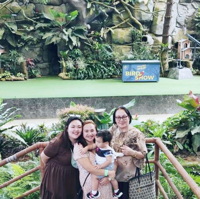 Africa in Cebu Safari and Adventure Park!