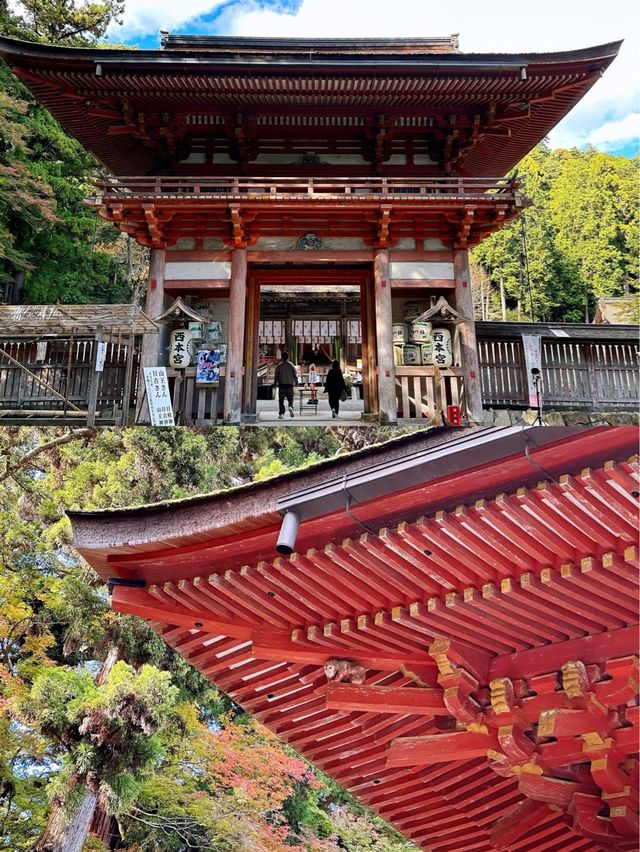 日吉大社大社