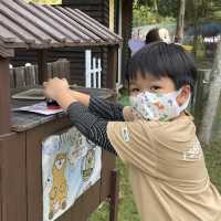 三角梅花展蝶豆花園之旅