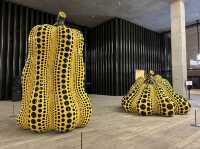 Visual Culture to see in M+ 