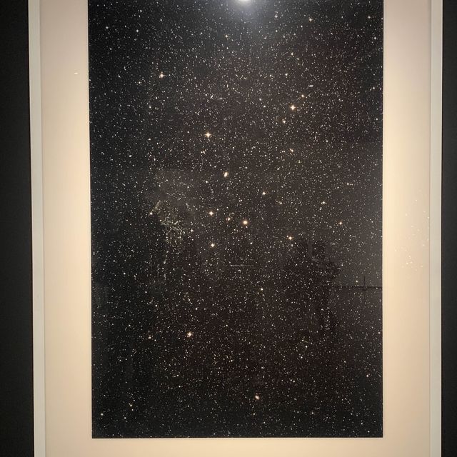 Exhibition 