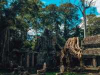 Amazing Temple Preah Khan, Siem Reap