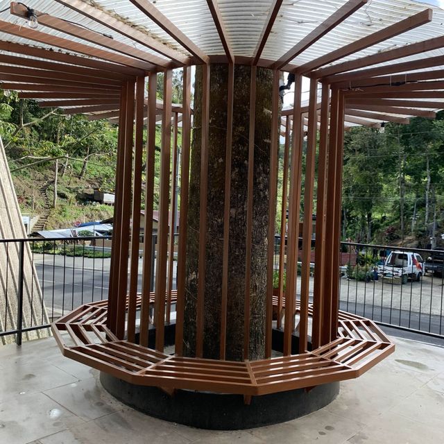TH Tree House Along the Road