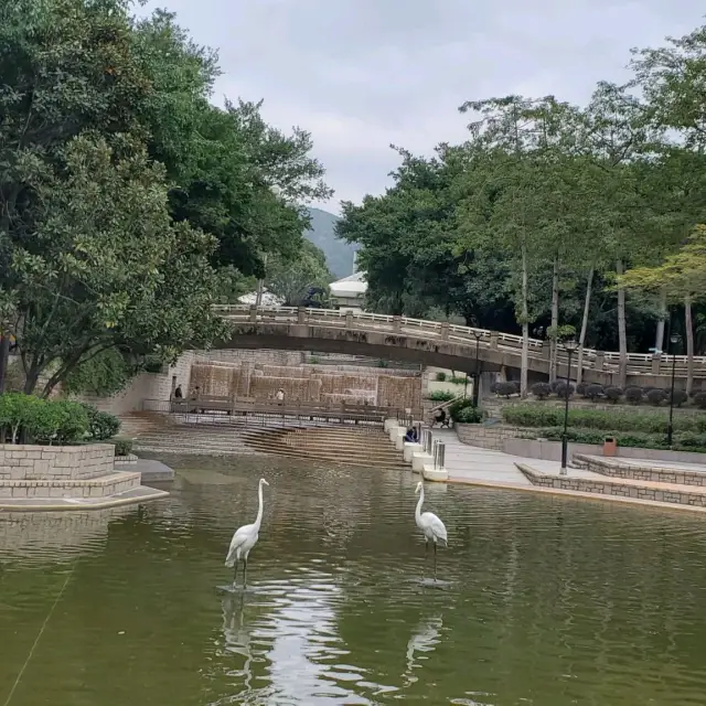 小橋流水－屯門公園