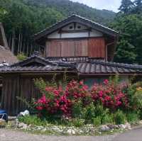 日本三大傳統茅葺屋部落之一 京都美山町！