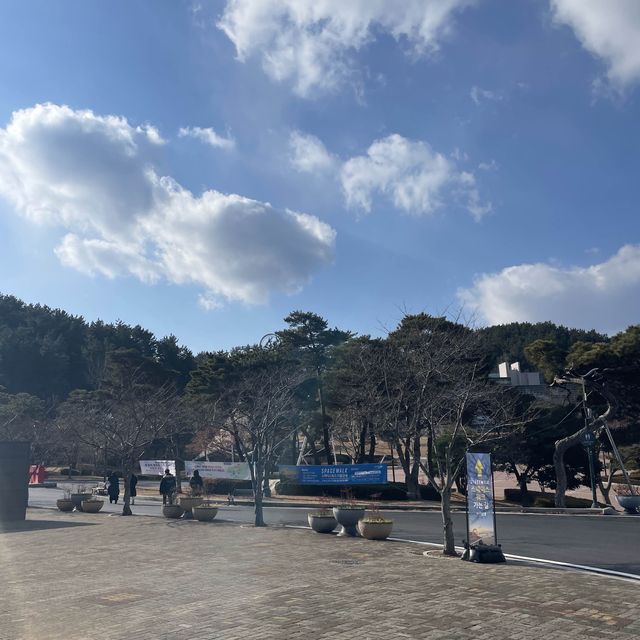 포항, 그 유명한 “스페이스 워크”