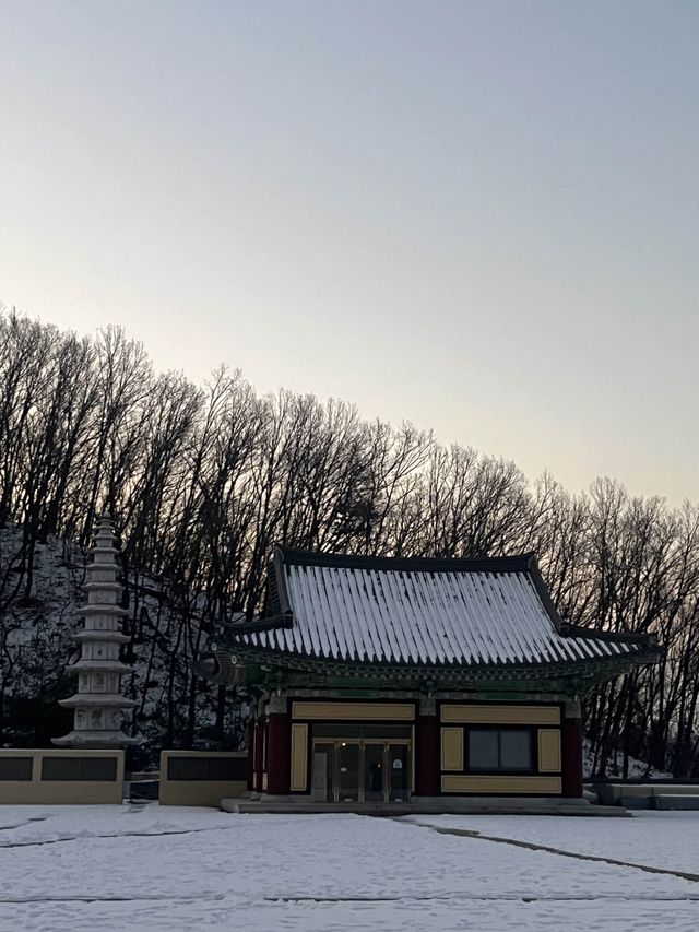 신년맞이 서울 근교 성남 대광사에서 템플 스테이 이색 체험🤍