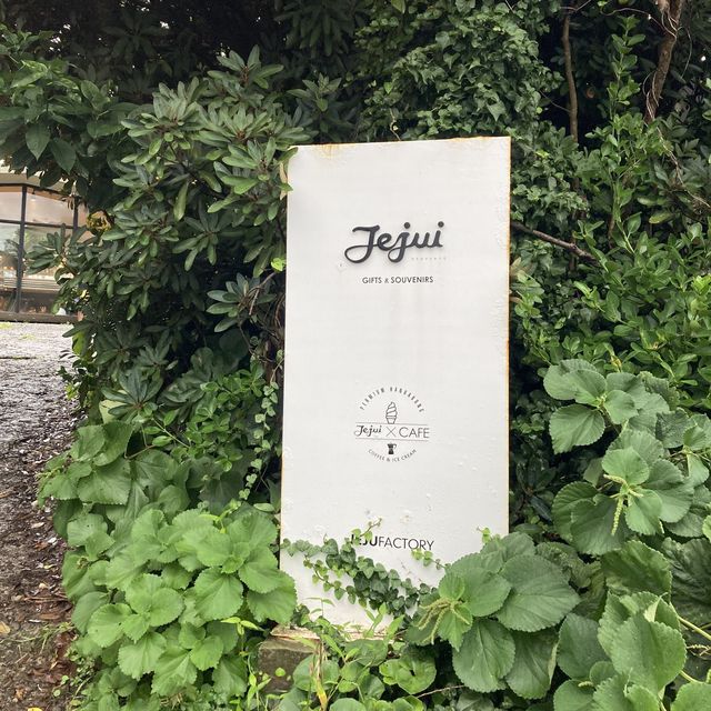 제주 성산 소품샵, 제주아이