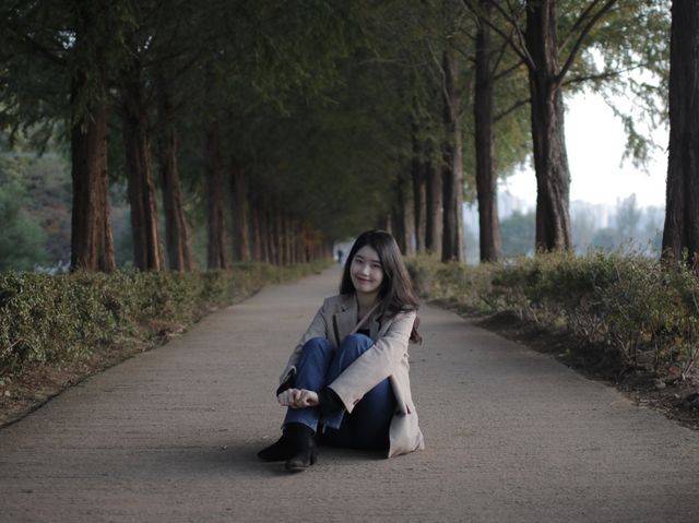 초록초록 야외 힐링 여행 즐기려면? 공주 메타세콰이어 길