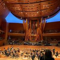 Walt Disney Concert Hall. 
